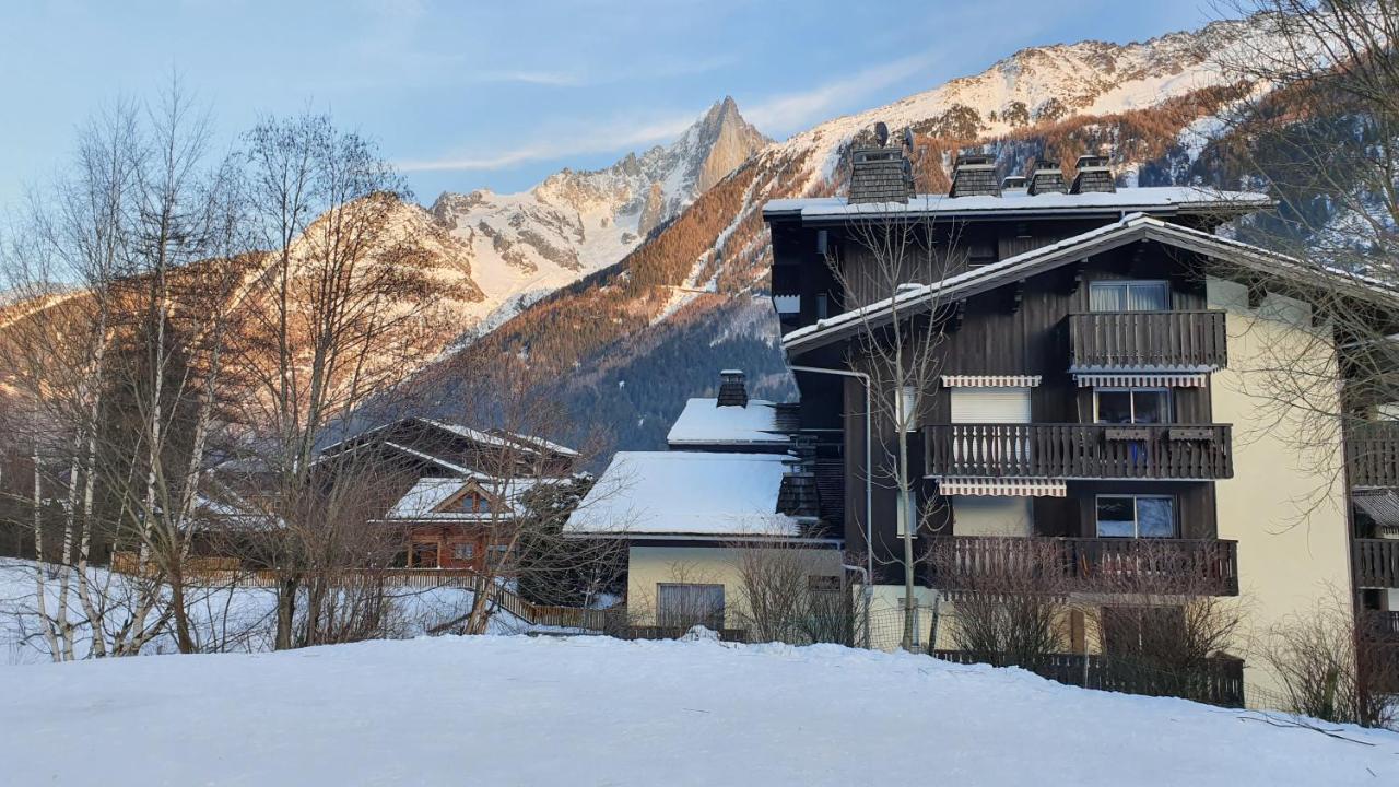 Cosy Studio On The Slopes And Centre Of Chamonix ภายนอก รูปภาพ