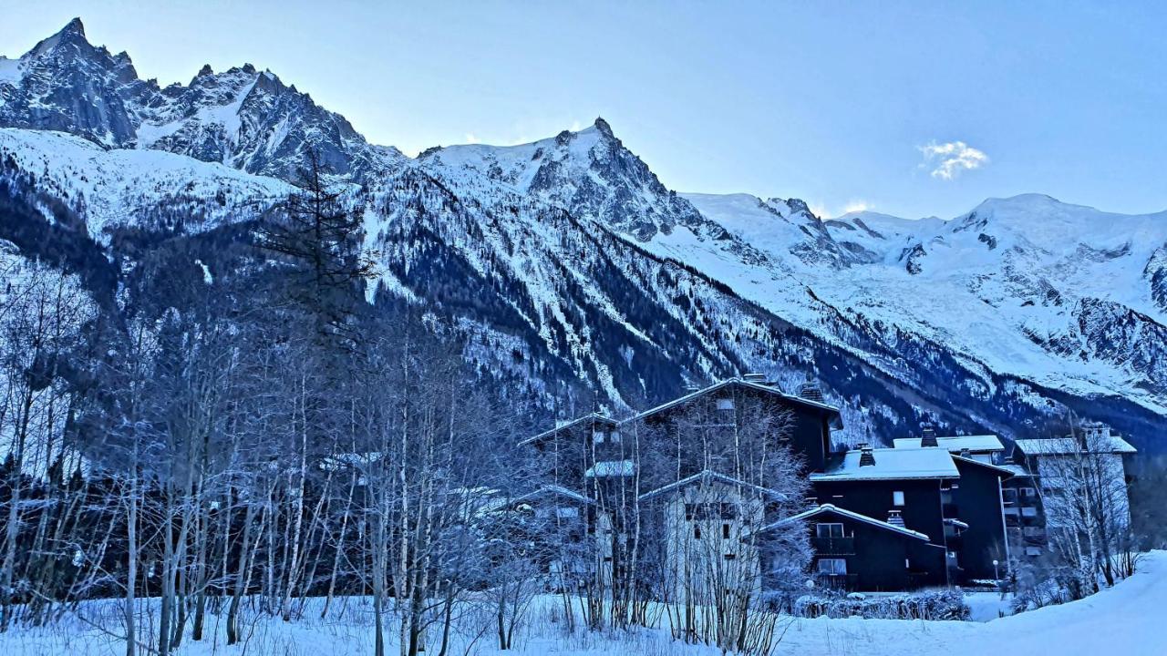 Cosy Studio On The Slopes And Centre Of Chamonix ภายนอก รูปภาพ